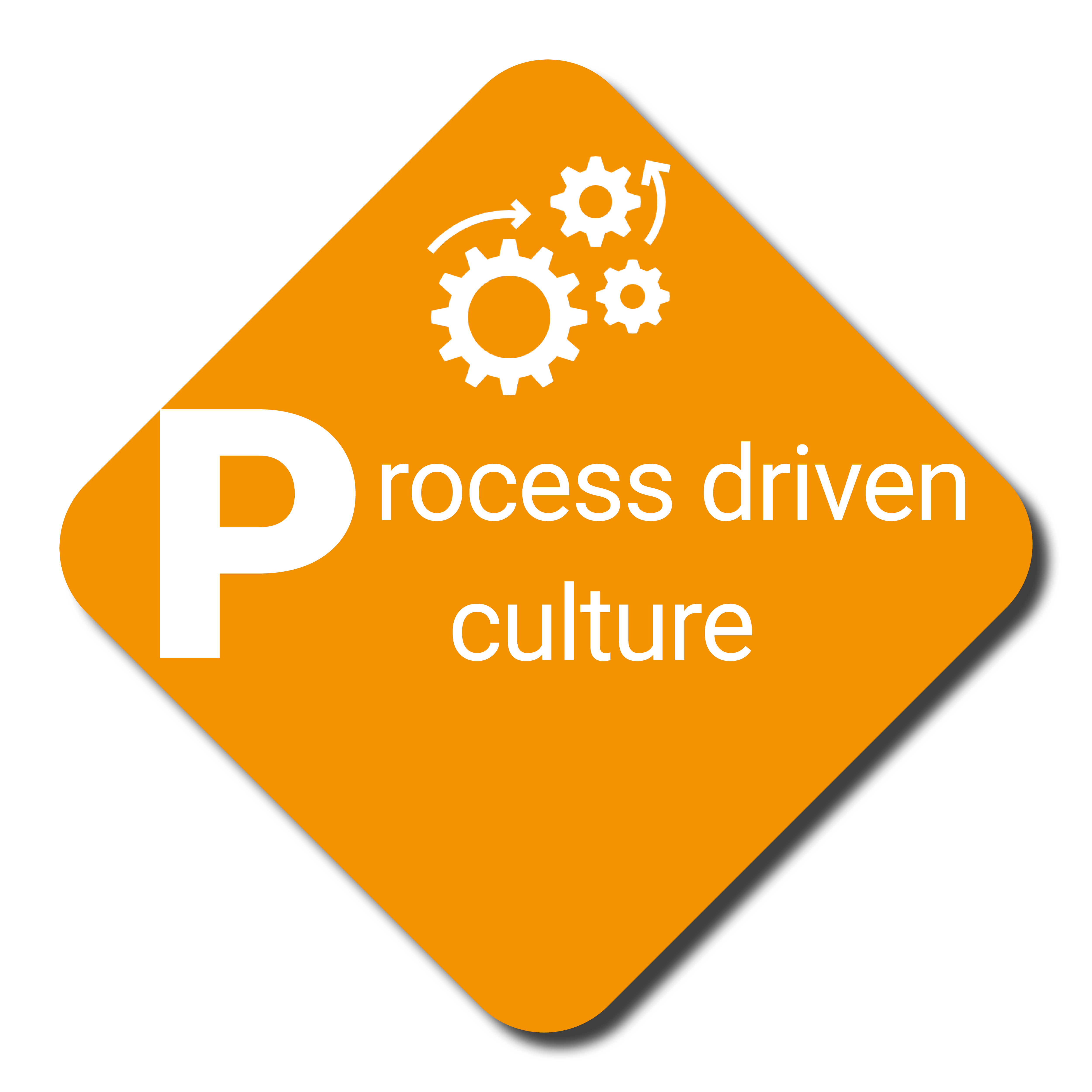 Process Driven Culture