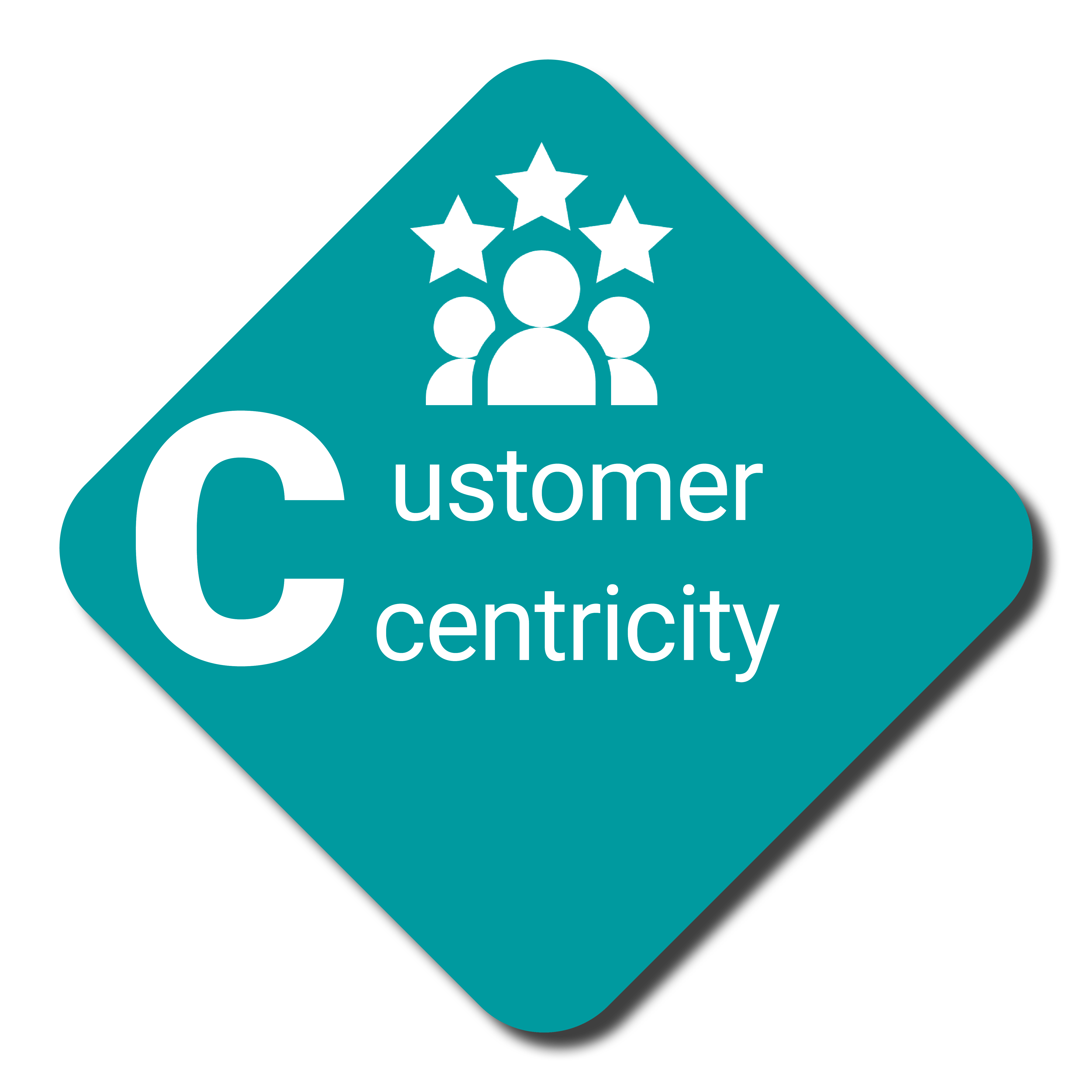 Customer Centricity