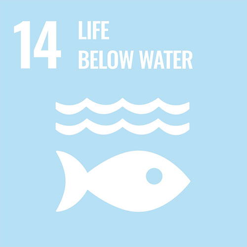 life-below-water-sustainability-goal