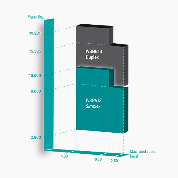 bnr-wittur-wsgb-13-speed-load-graphic