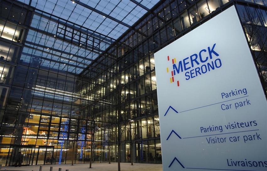 the acquisition between merck and schering plough the acquisition between merck and schering plough
