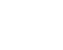 Wittur Logo