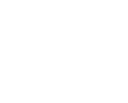 Wittur Logo